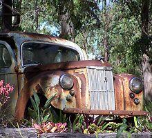 Can't Afford The Gas! by graemebilly