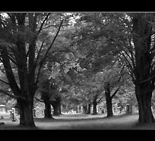 The Long Road Home by risailor