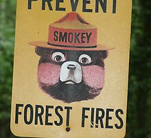 Prevent Forest Fires by cindylu