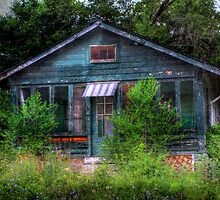 Urban Blight by Delany Dean