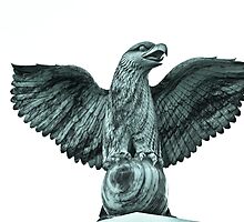 Marble Eagle by yurix