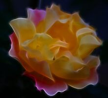 Unfolding Love by laureenr