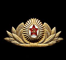 USSR army officer badge by yurix