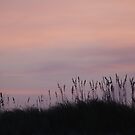 The day ends over the dunes by CCCreations