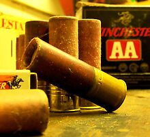 Shotgun Shells by Andrina