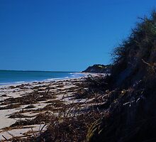 Jurien Bay by Daniel Fitzgerald