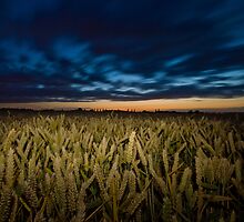 Last Embers by Nigel Bangert