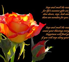 Remember to Stop and Smell the Roses by Jan Tribe