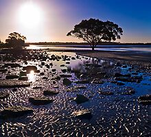 Tranquility by Tony Steinberg
