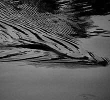 Slither by Whitney Jacobs