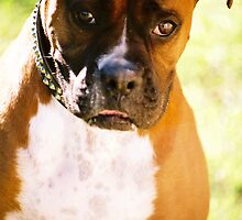 Hudson by caradione