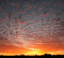 Simpson Desert Sunset by A1000WORDS