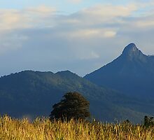 Mt Warning by Gareth Bowell