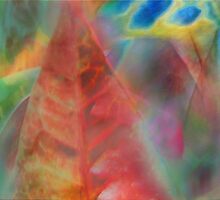 Transparancy ... A story of Love by linaji