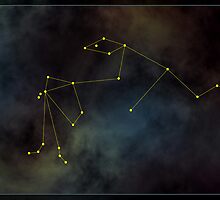 Aquarius zodiac by 4Seasons