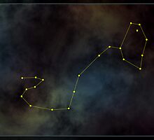 Scorpio zodiac by 4Seasons