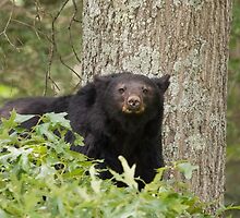 Mama’s Watching by Gary L Suddath