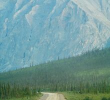 The Dalton Highway by Dandelion Dilluvio