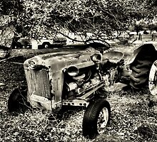 Old Blue......Retired 2 ( BoneYard Series ) by Carla Jensen