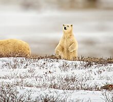 Sensing Danger by Deri Dority