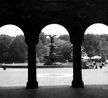 THE FOUNTAIN IN CENTRAL PARK by Paul Quixote Alleyne