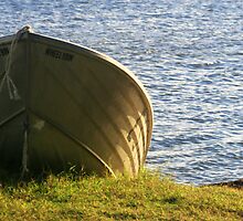 Beached by gmpepprell