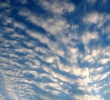Spiny Clouds by starlitewonder