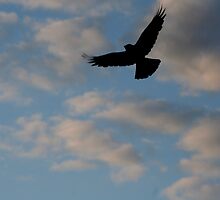 As I Dream I Fly Away by starlitewonder