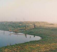 Misty Dam at Kerula © Albert by Vicki Ferrari