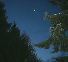 Sliver Moon by starlitewonder