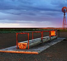 Cattle Trough - Hay Plains by Darren Stones