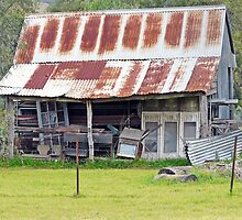 Housing Odds and Ends by Terry Everson