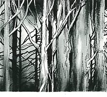 Woods by Wayne Grivell
