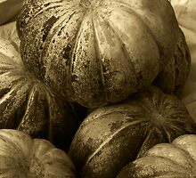 Pumpkins (Sepia) by Charuhas Images