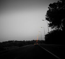 Last Night On Earth by Annica93