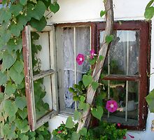 Romantic window by snefne
