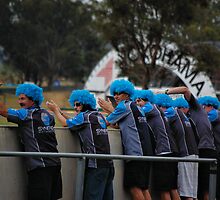 DEDICATED FANS by Cheryl Hall