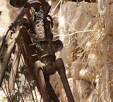 Bicycle Remains by AbsintheFairy