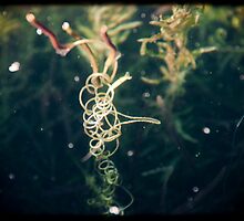 spiraling out of control... in search of light by Jenny Ryan