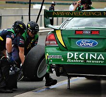 PIT CREW by Cheryl Hall