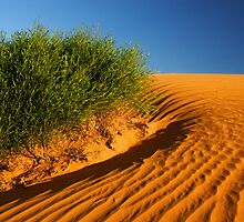 Perry Sandhills by Darren Stones