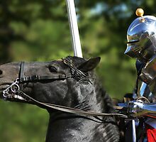 About to Charge by Wayne Gerard Trotman
