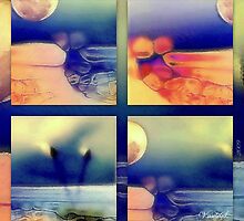 Imaginary reality in bite slices by Vasile Stan