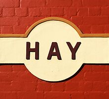 Hay Railway Station by Darren Stones