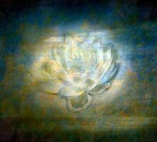 Lighting The Night by Anne McGinn