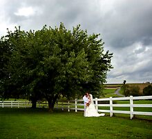 Picture Perfect Day by Ann Rodriquez