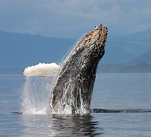 Exuberance by Gina Ruttle (Whalegeek)