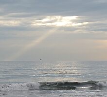 The Hand of God? by Kathy Silcock