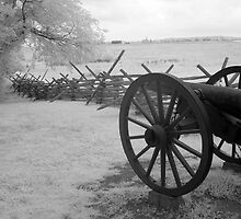 Confederate Lines by Bowman1