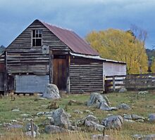 Aussie Shearing Shed by Terry Everson